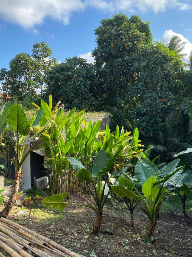 The Civyt Hotell Ubud Eksteriør bilde